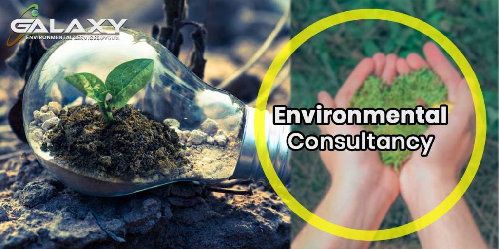 Environmental Consultancy